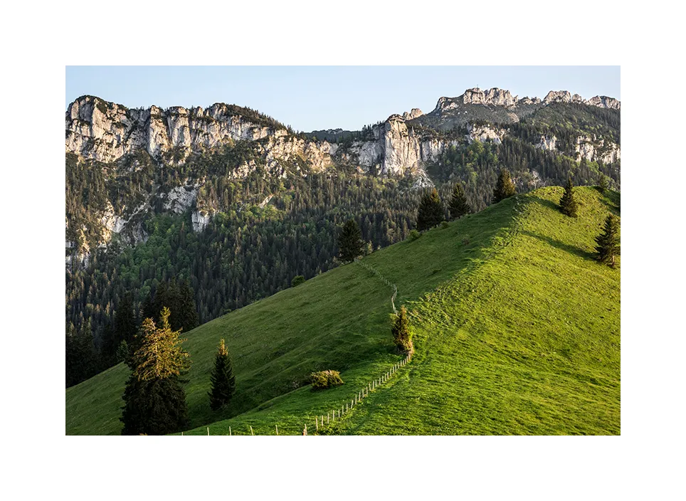 Erlberg I · Kampenwand, 2023