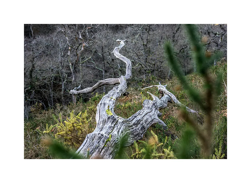 Naturpark Saja-Besaya · Spanien, 2023