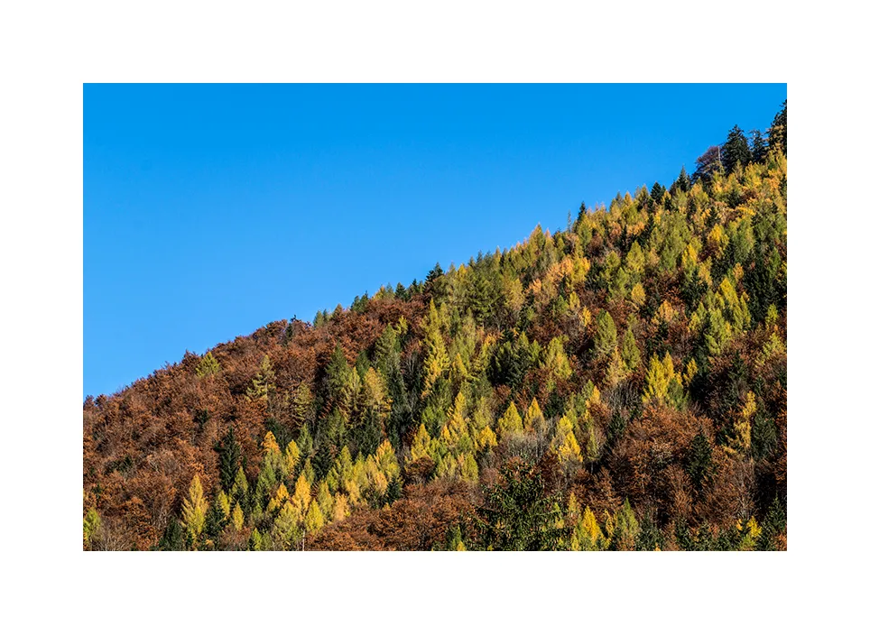 Naturschutzgebiet Östliche Chiemgauer Alpen · Deutschland, 2015