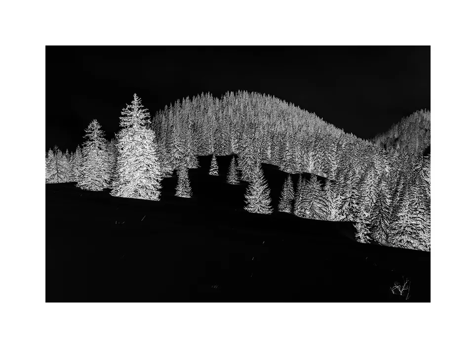 1003-12 · Winter I · Deutschland, 2021