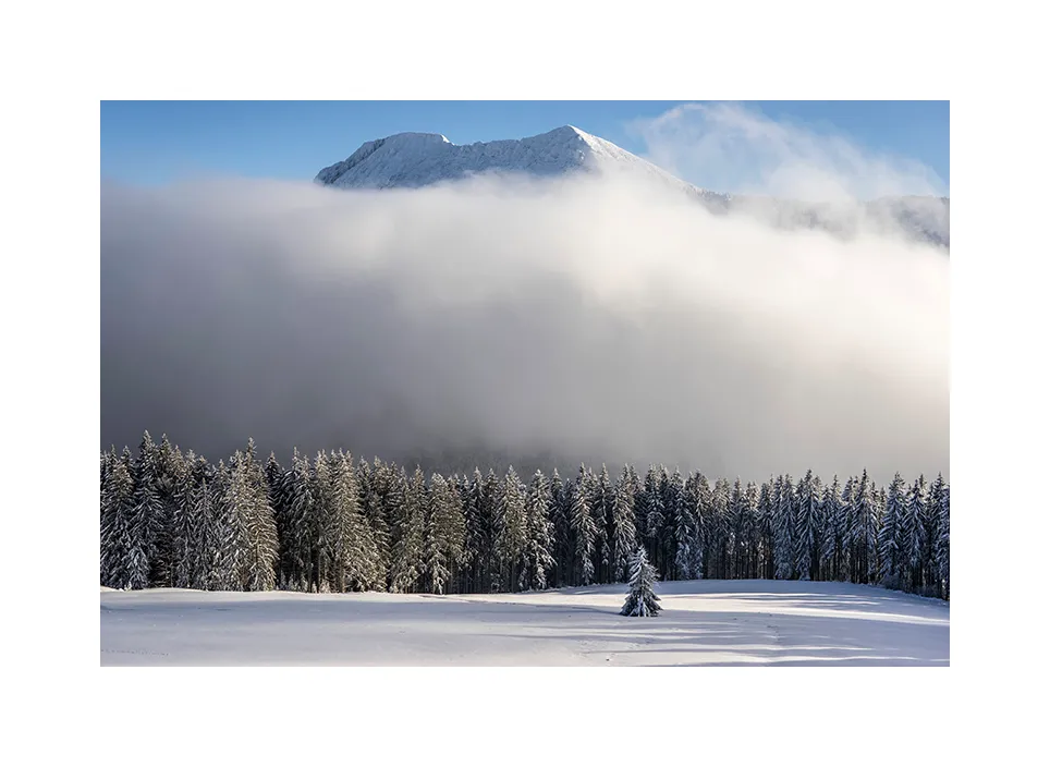 Bäckeralm · Teisenberg, 2018