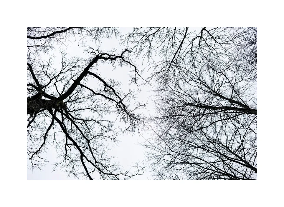 Naturpark Habichtswald · Deutschland, 2020