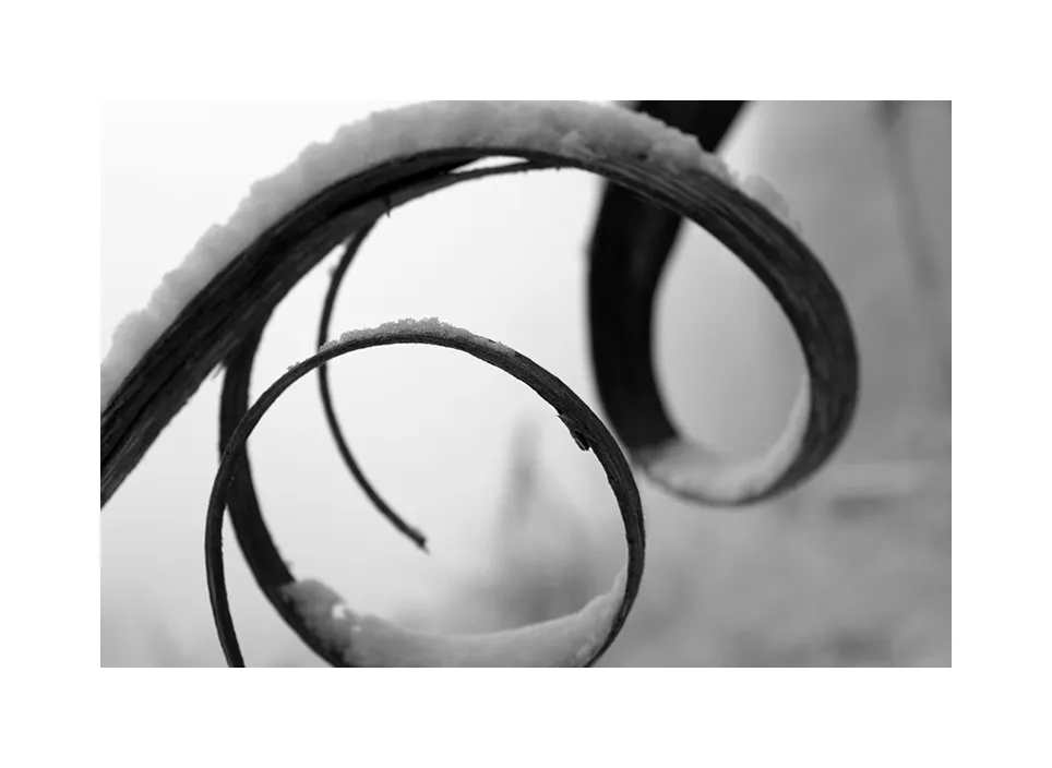 Spirale im Schnee · Deutschland, 2016