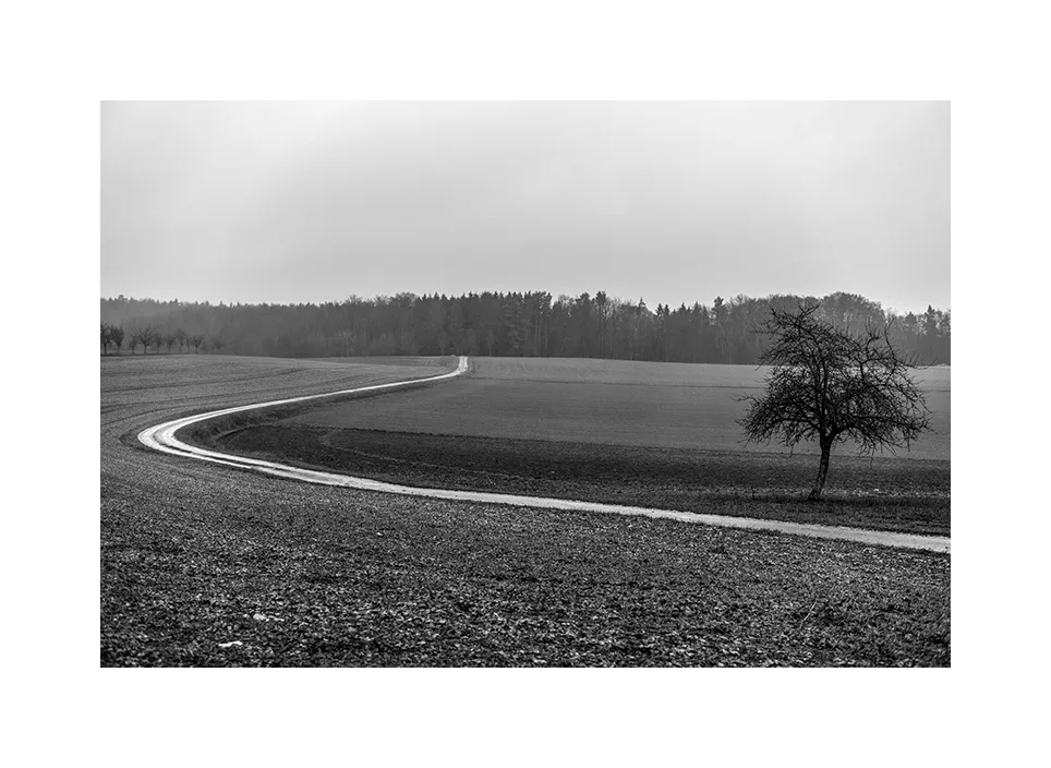 Einsamer Weg · Deutschland, 2019