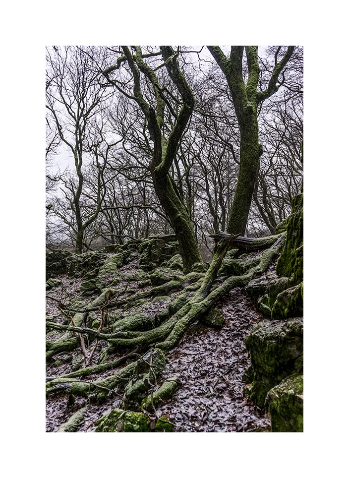 Taunus · Deutschland, 2017