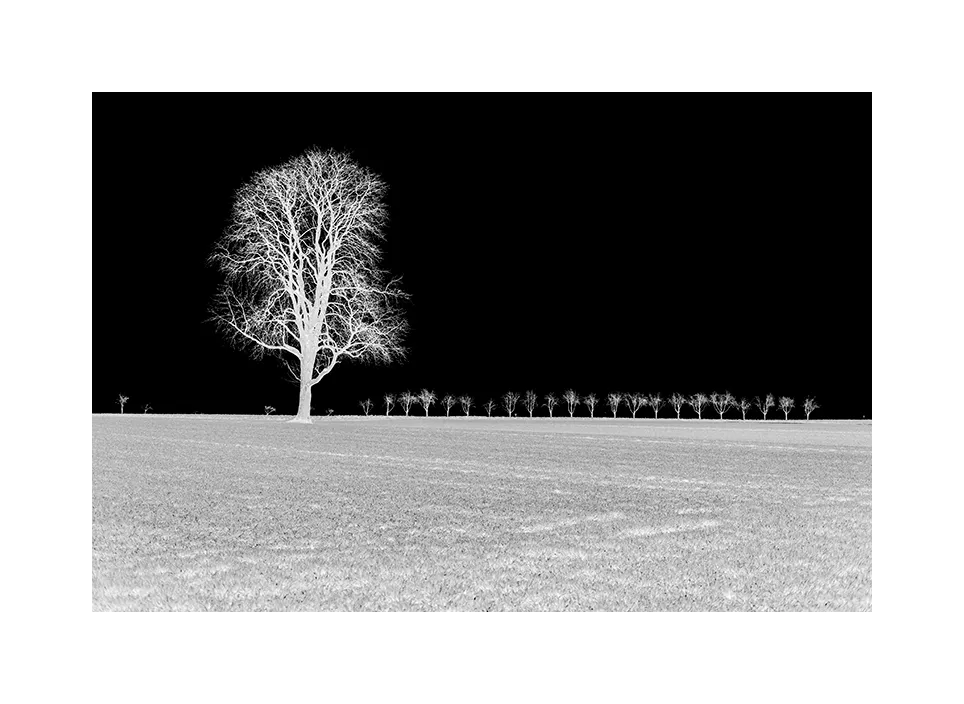 1003-04 · Field · Deutschland, 2020