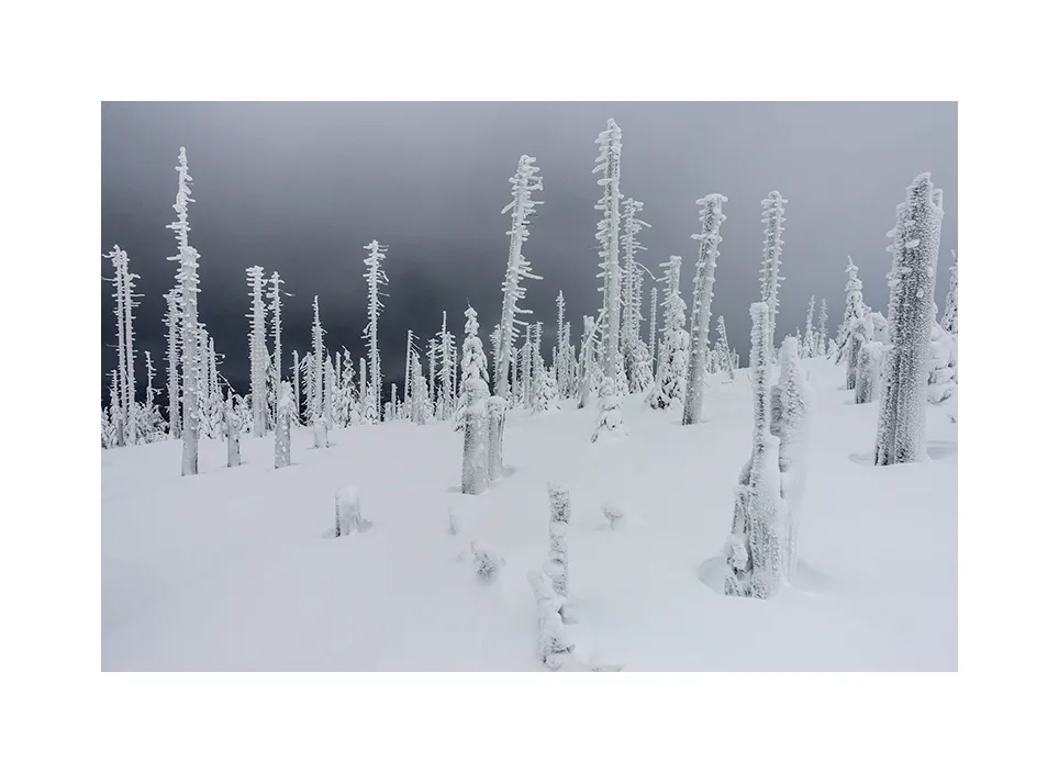 Nationalpark Bayerischer Wald II · Deutschland, 2019
