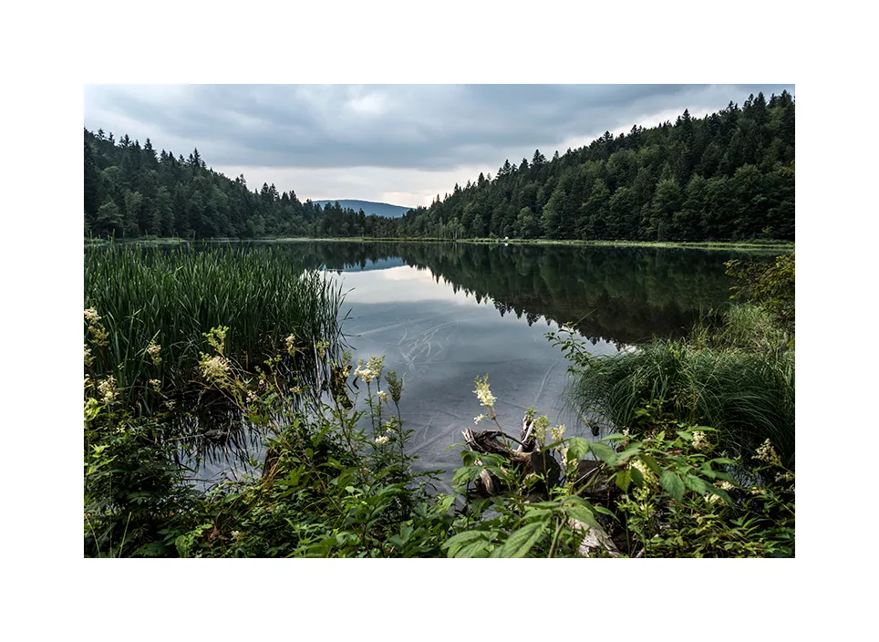 Frillensee I · Staufen, 2019