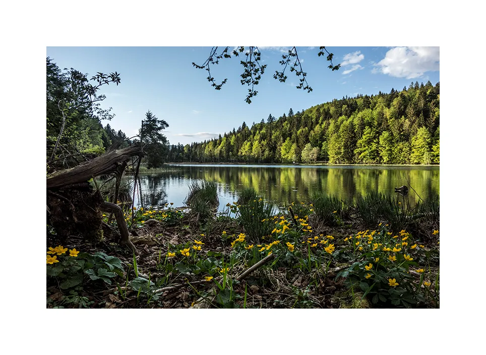  Frillensee II · Staufen, 2018