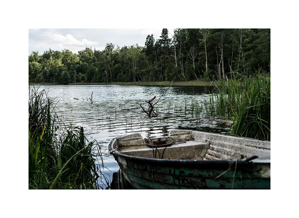 1012-07 · Borkener Heide · Polen, 2020