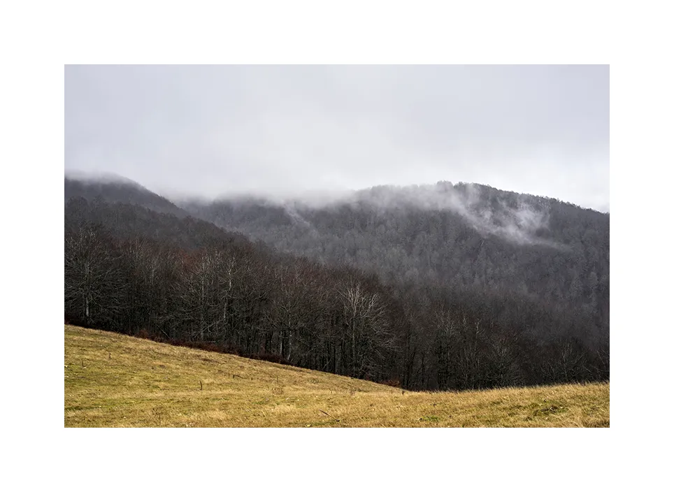 Nationalpark Biogradska Gora II · Montenegro, 2022