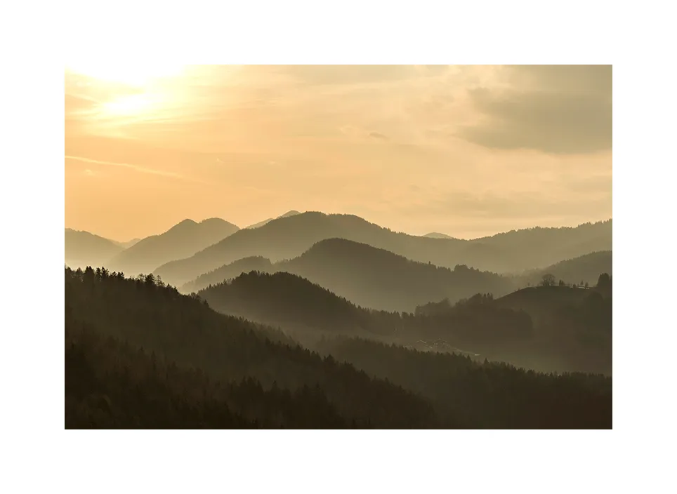 Falkenstein I · Inzell, 2021