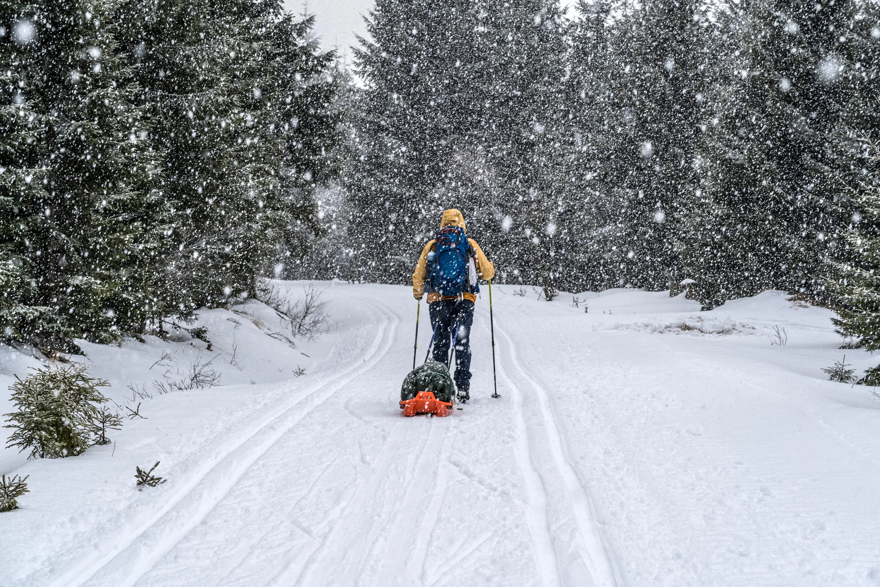 Winterstille - Auf der Šumava-Magistrale durch den Böhmerwald