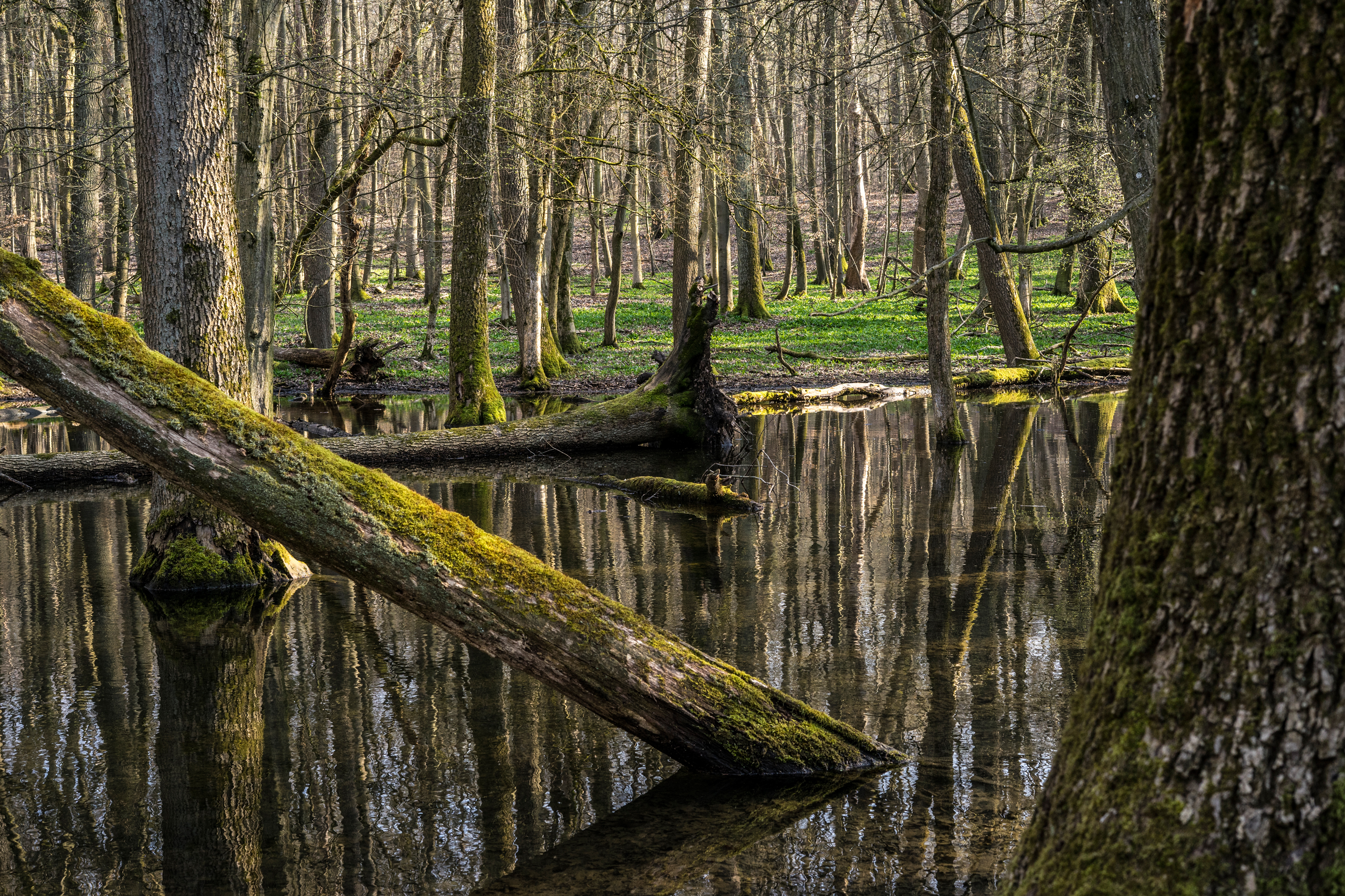 Tourenbericht: Nationalpark Hainich