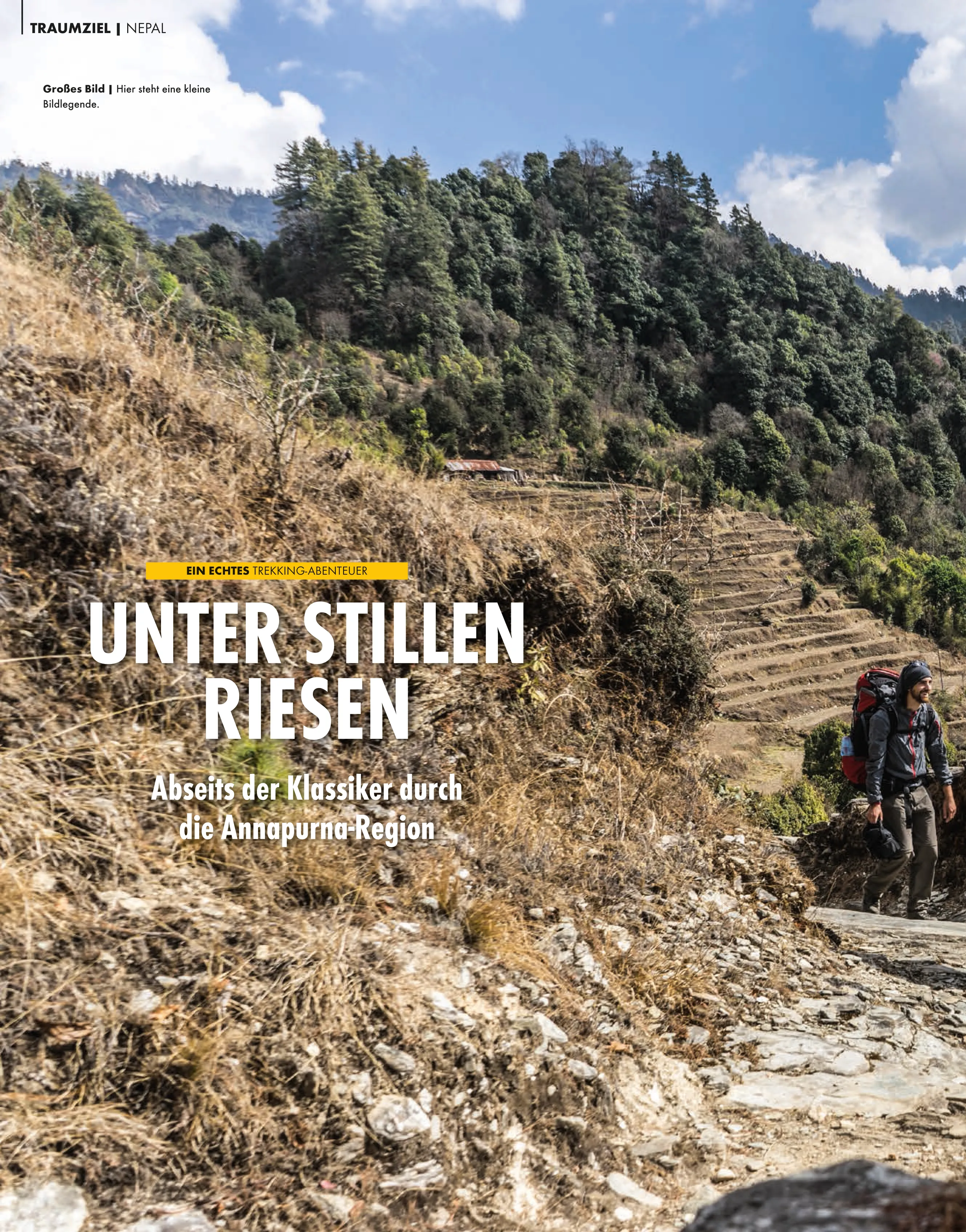 Unter stillen Riesen