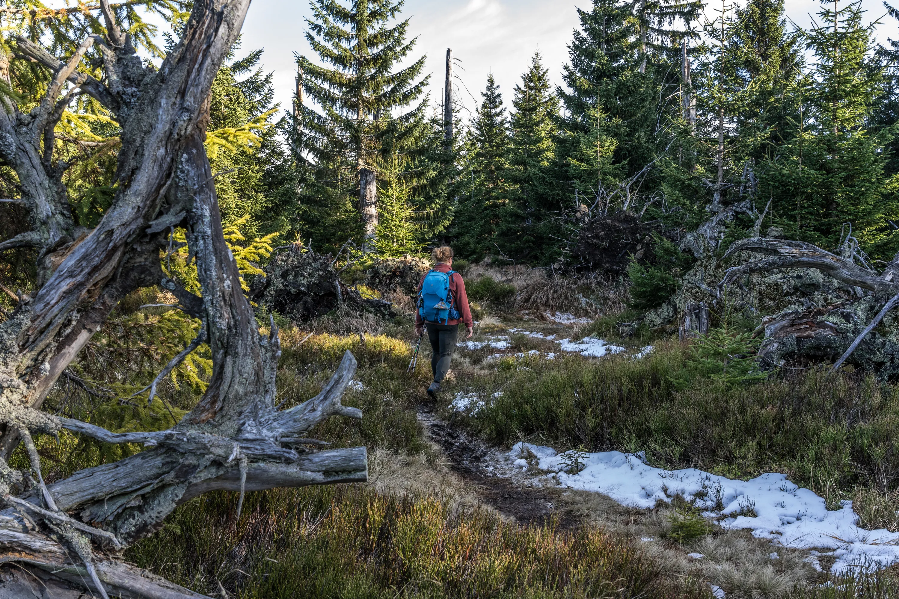 Der Bayerische Wald – Wandern in Deutschlands wilder Waldlandschaft