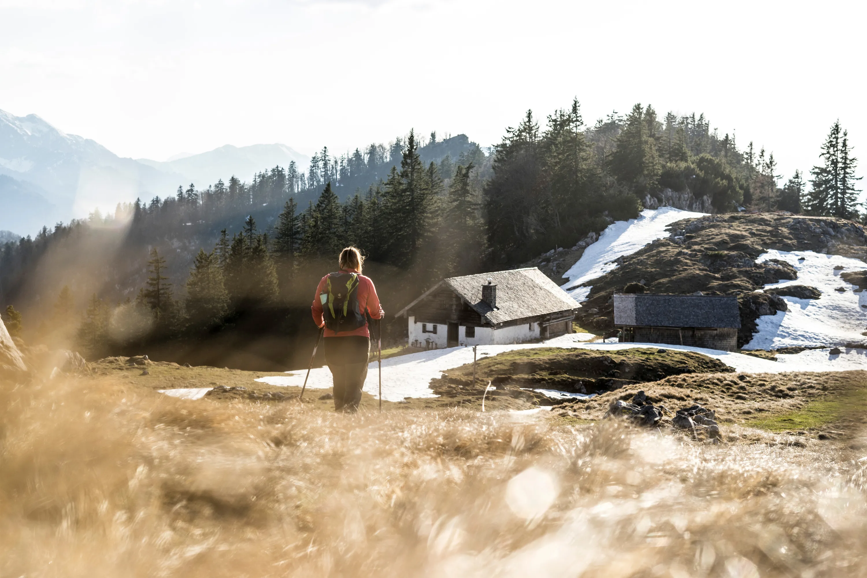Wandern in den Chiemgauer Alpen – Zwischen sanften Almen und schroffen Kalkgipfeln