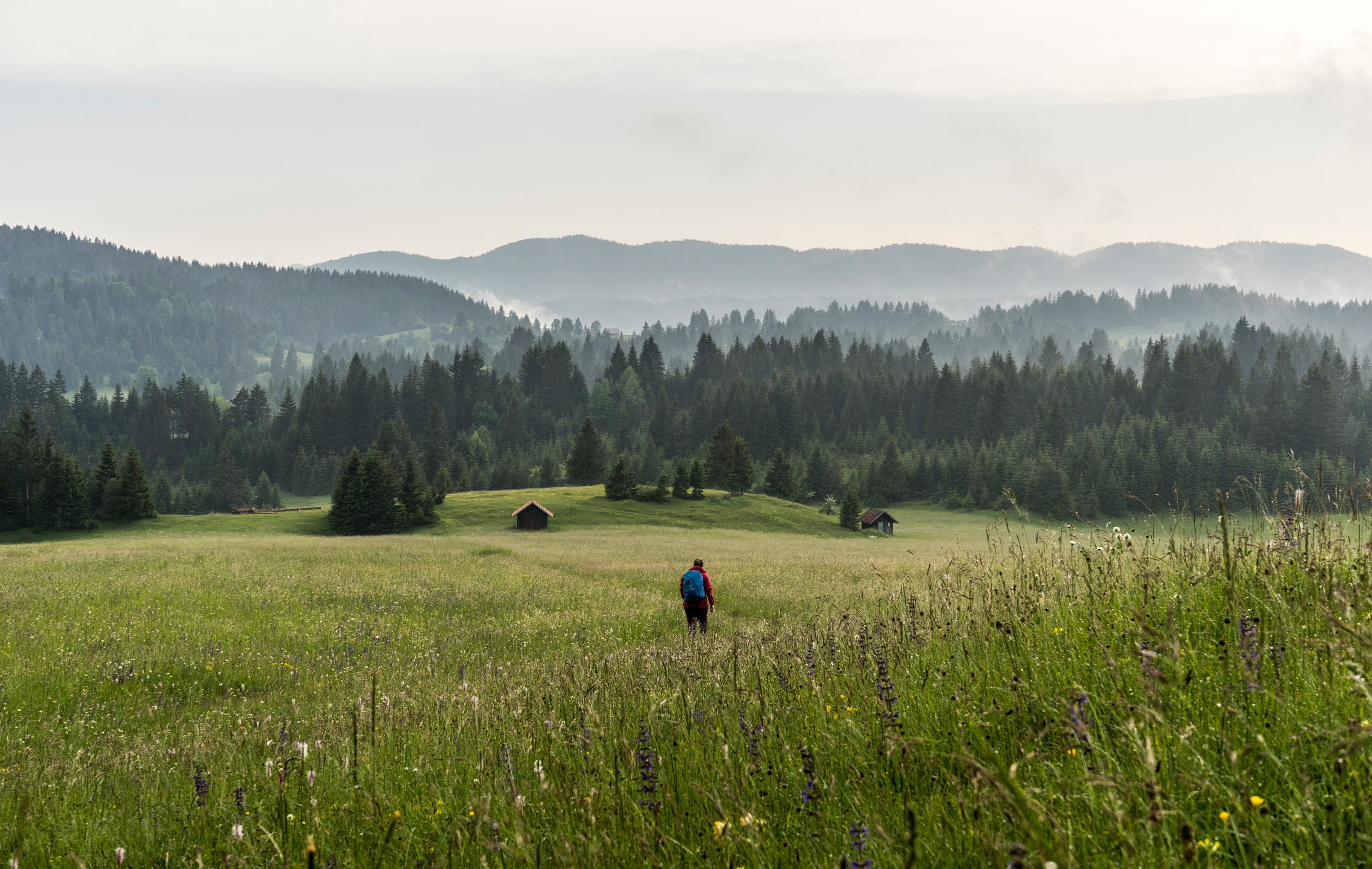 Reisebericht: Die Wälder von Kranjska