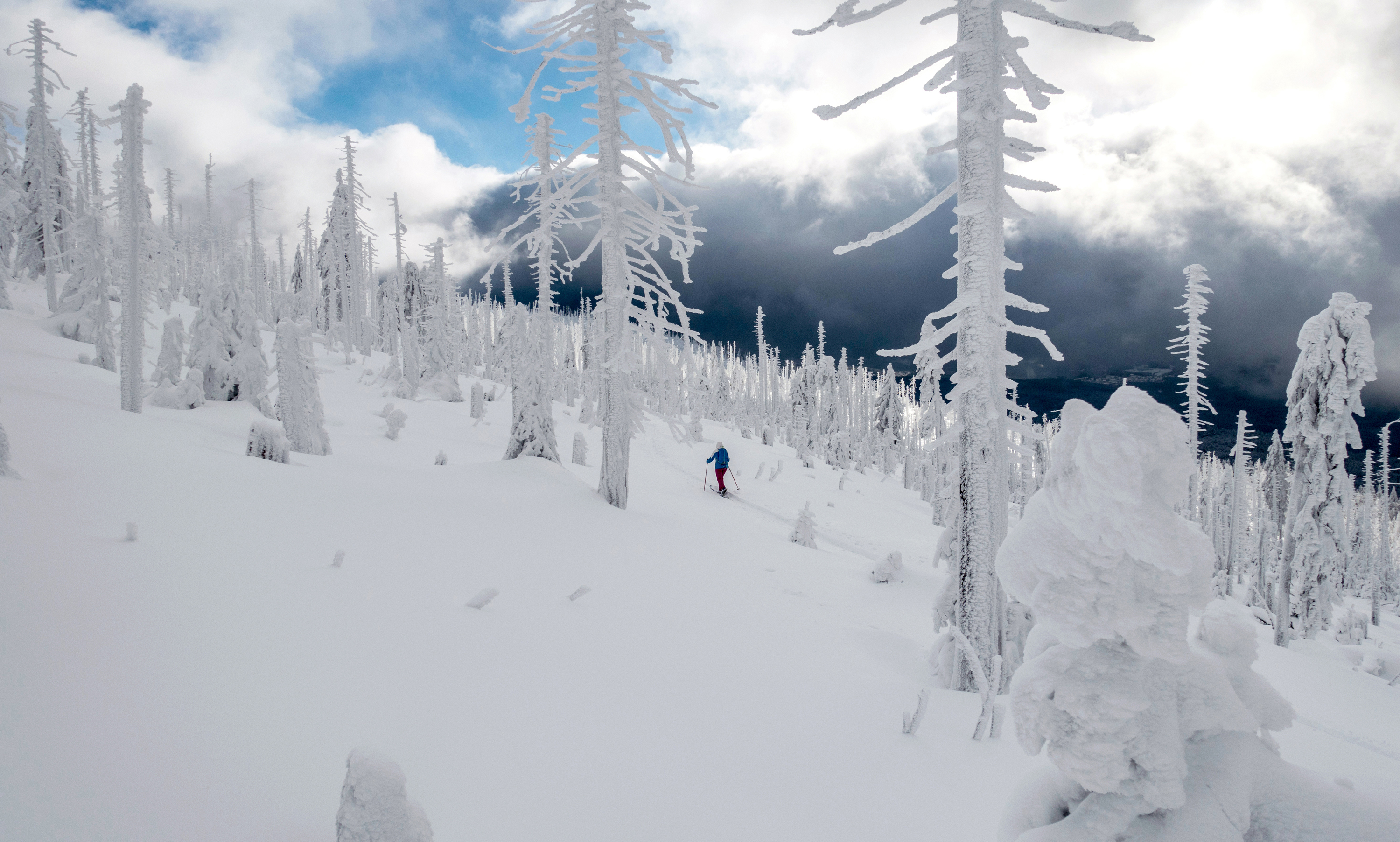 Tourenbericht: Winter im Bayerischen Wald