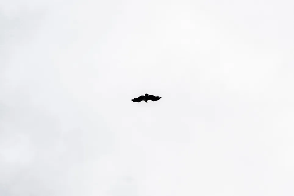 107
