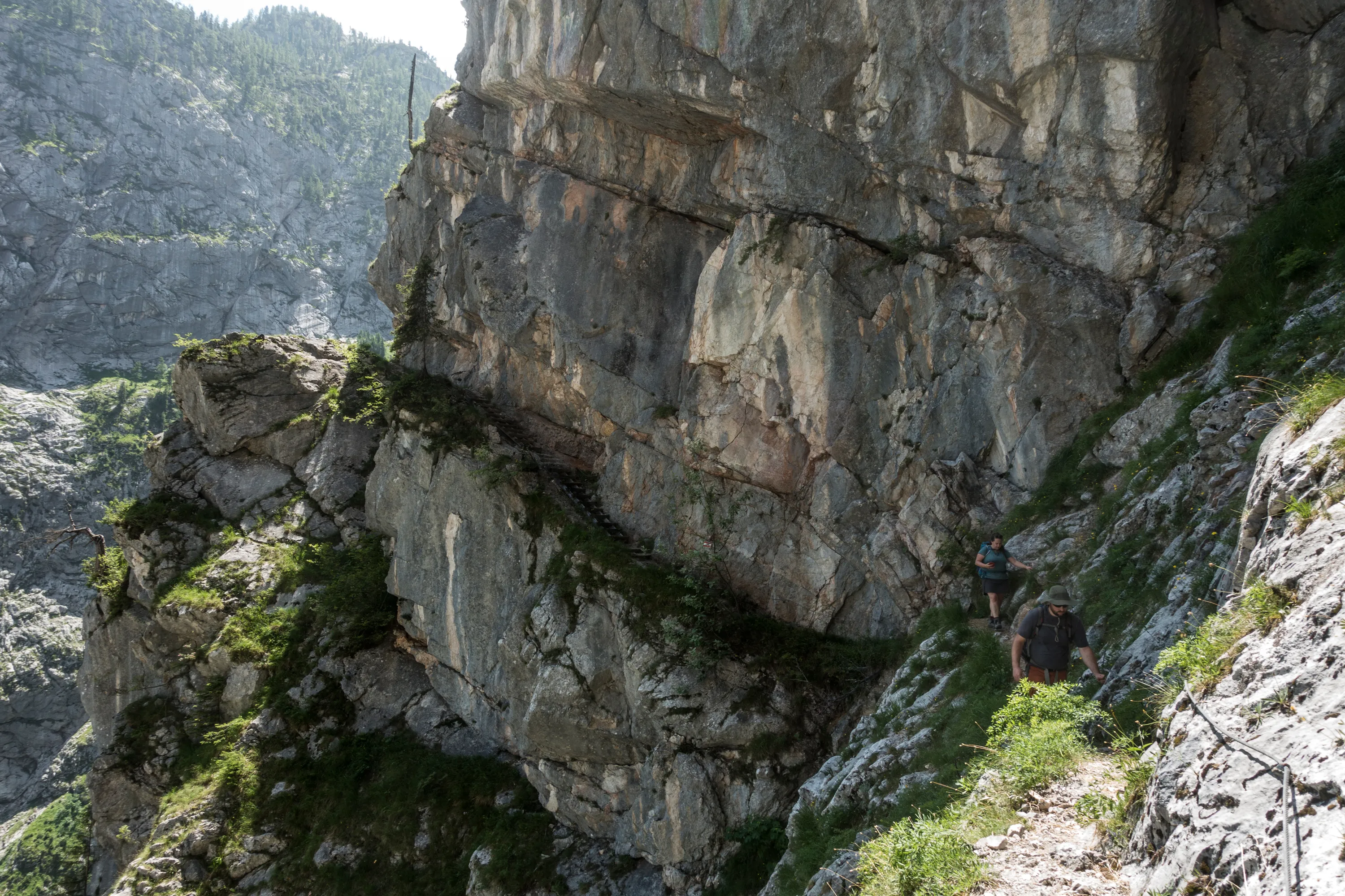 Bild 11
