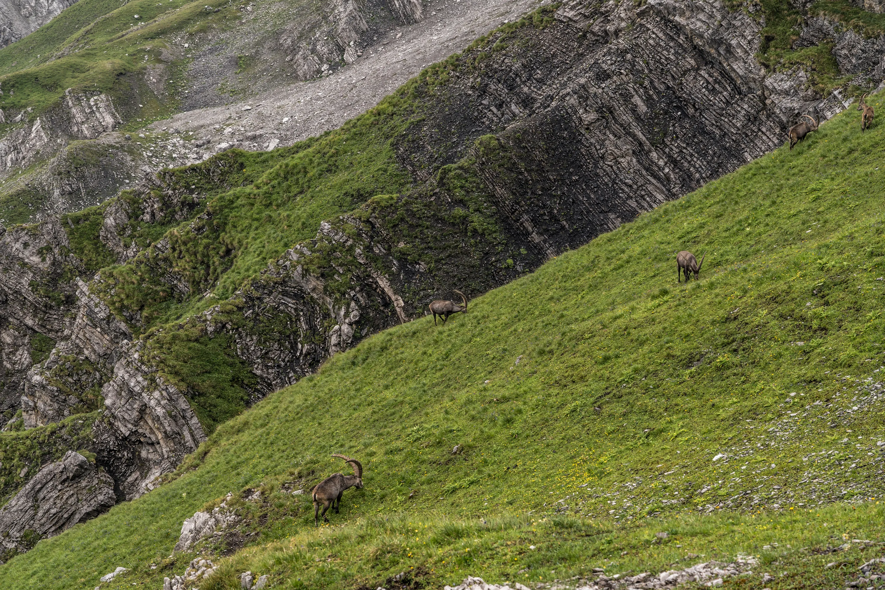 Bild 13