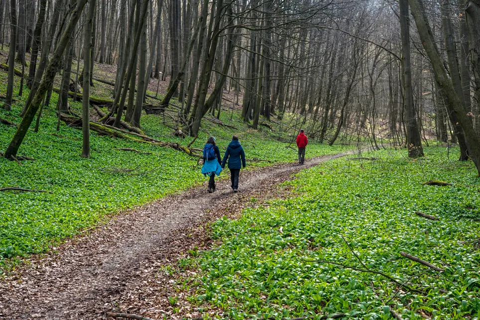 Bild 13