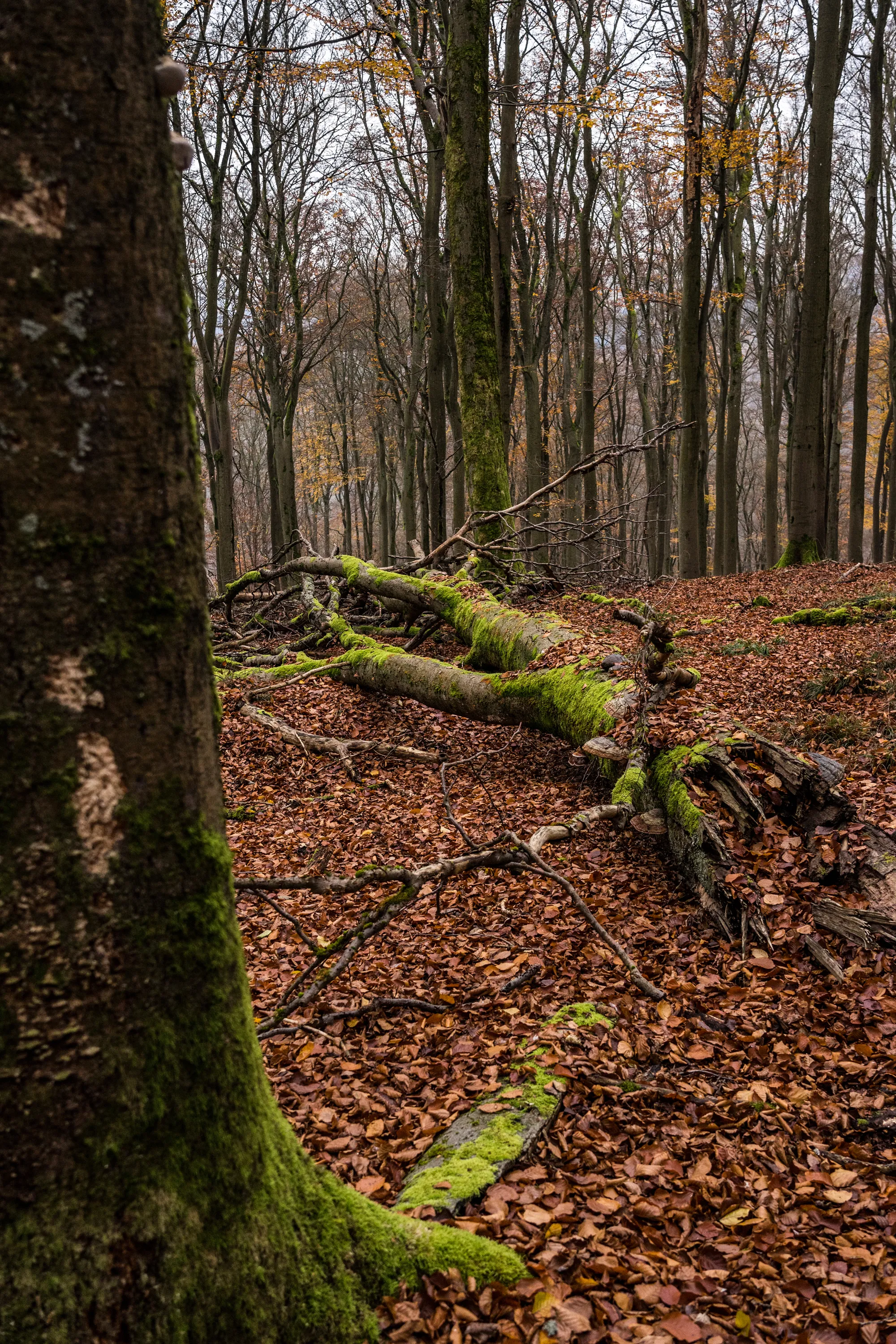 Bild 14