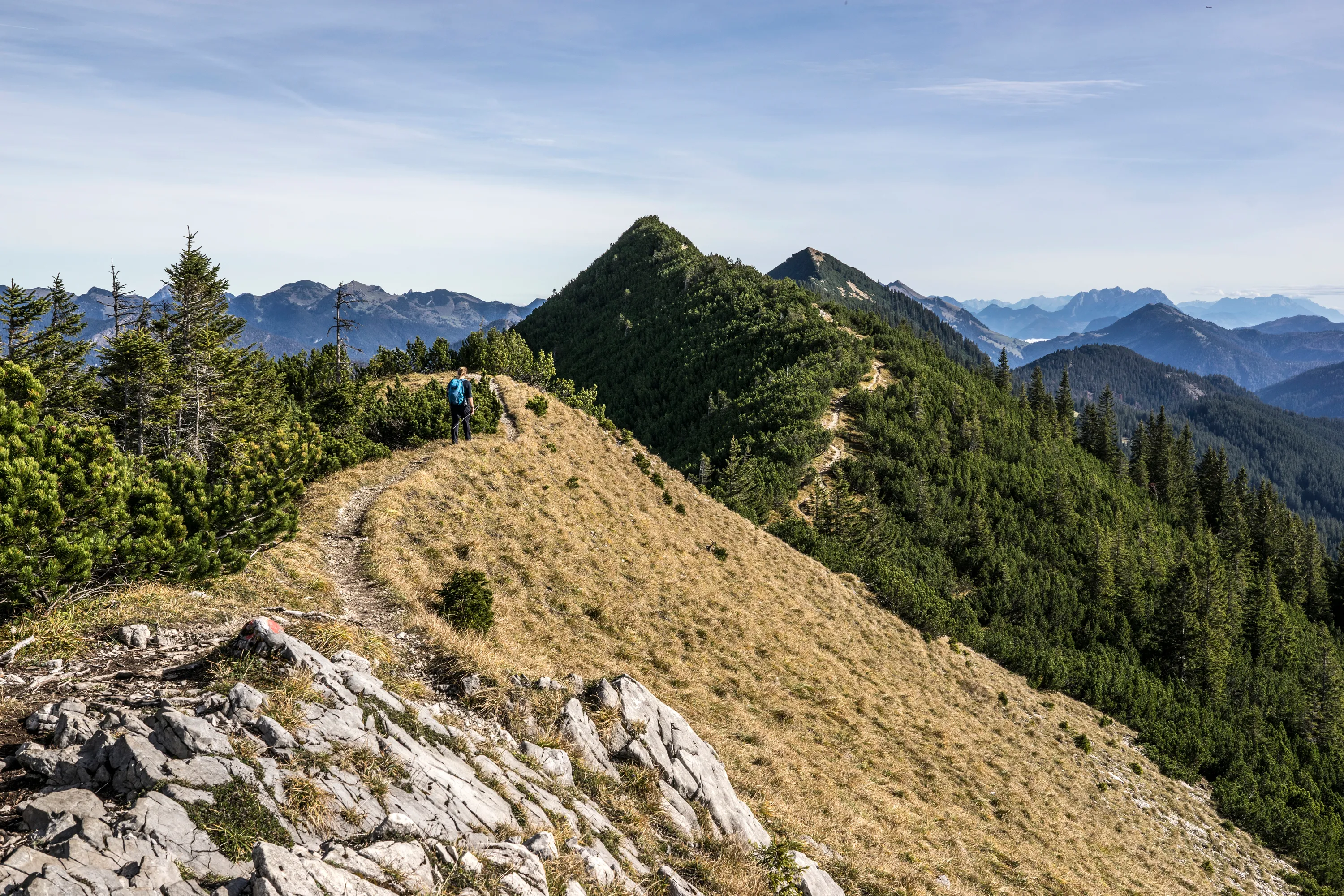 Bild 14