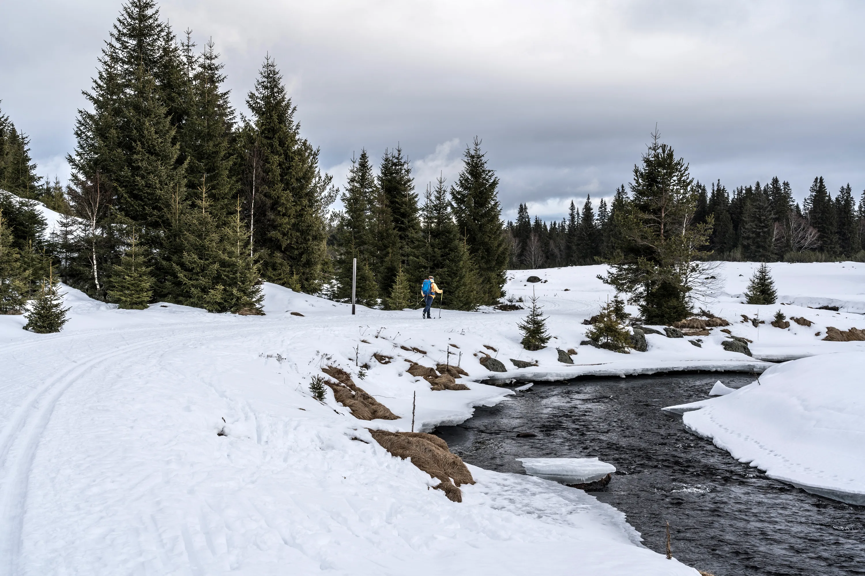Bild 15