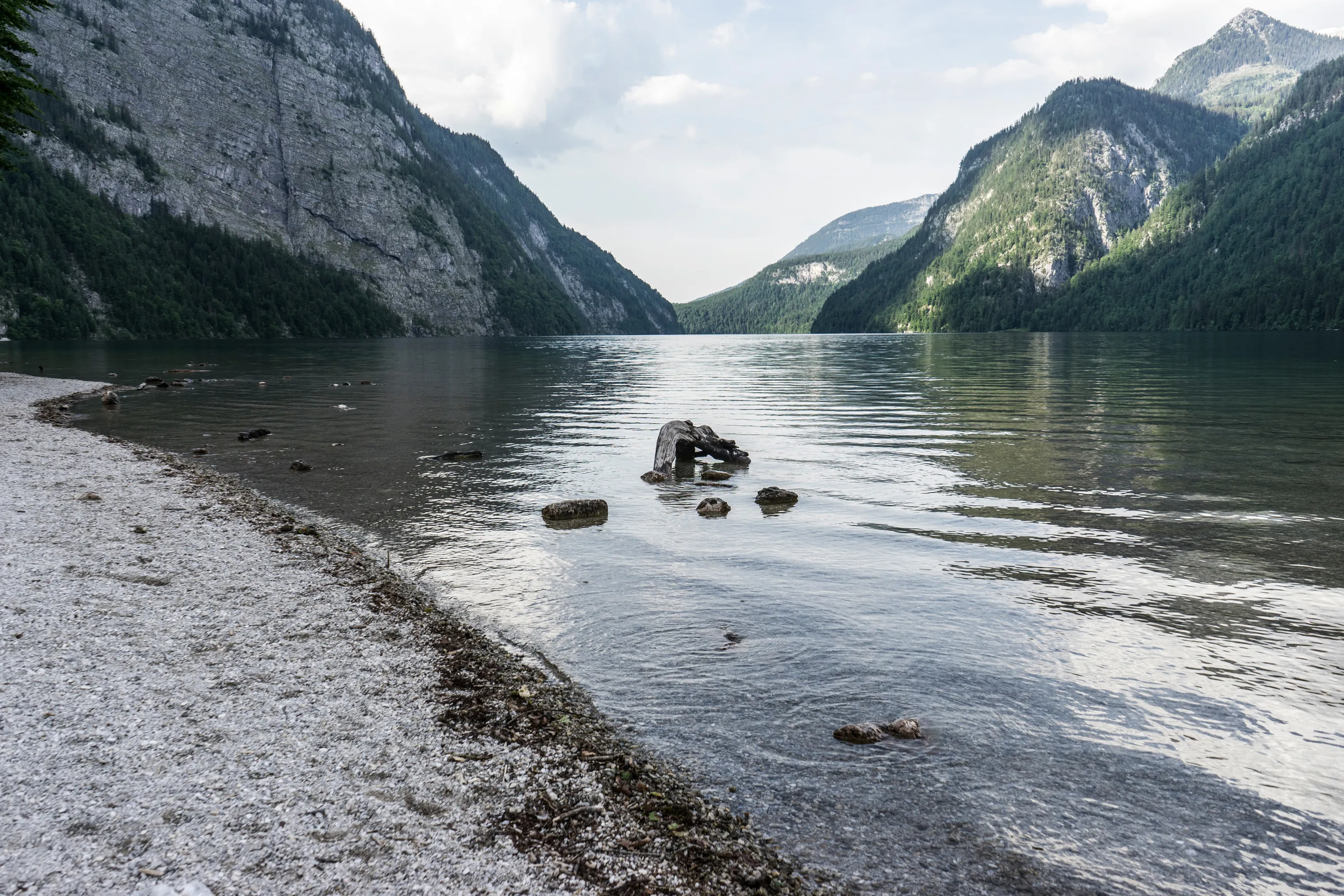 Bild 15