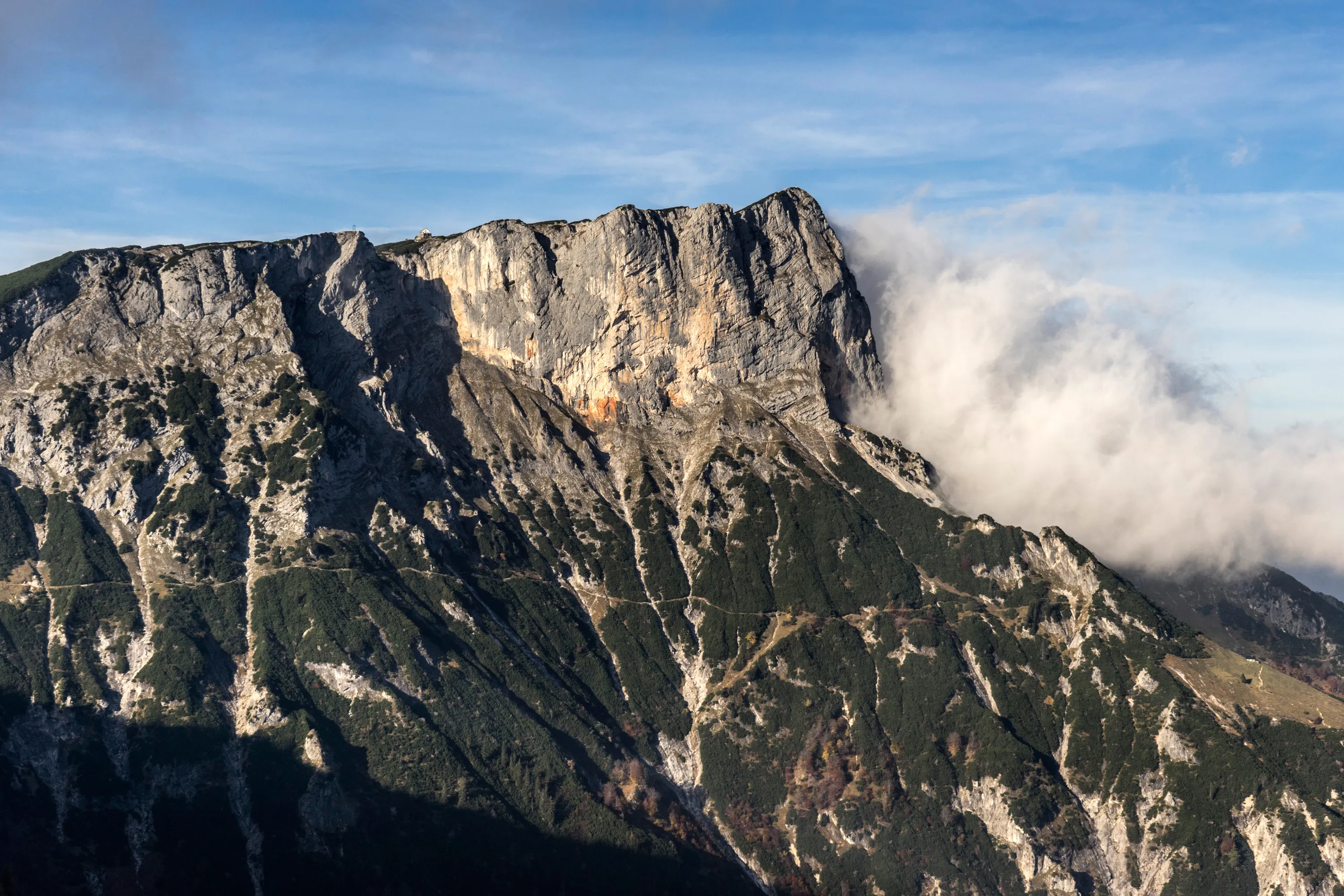 Bild 15