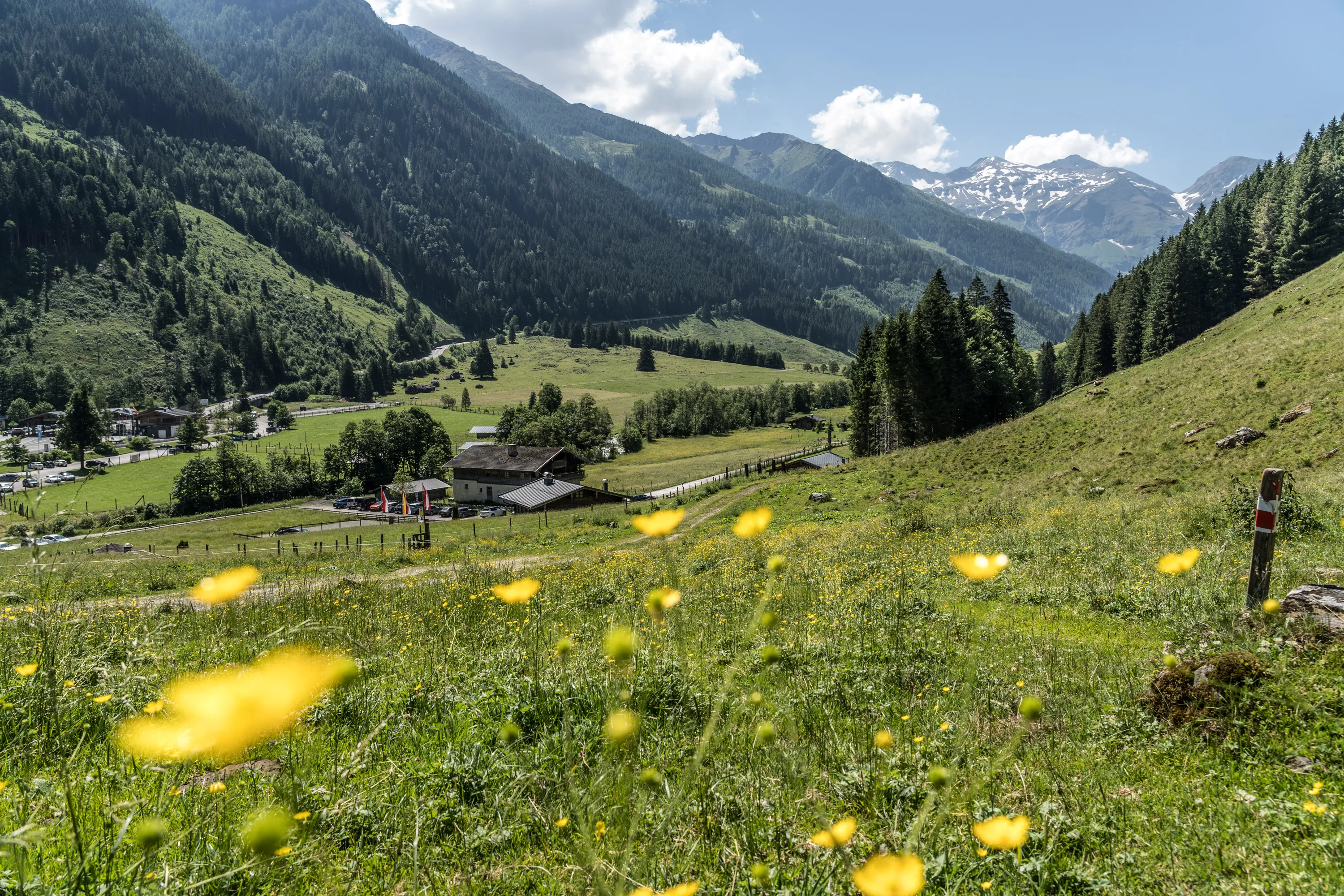 Bild 16