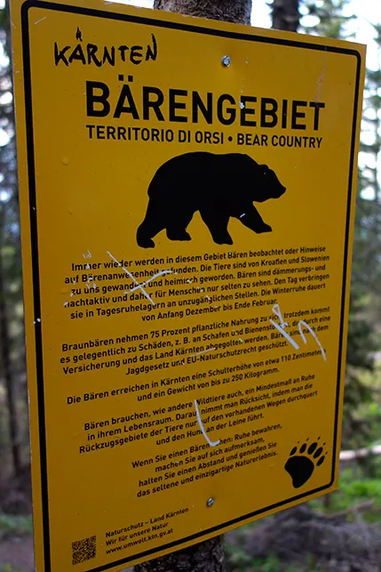 Bild 16
