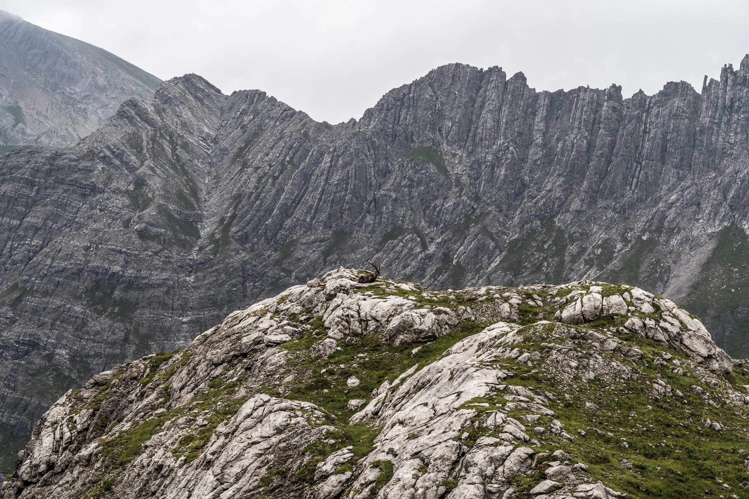 Bild 18