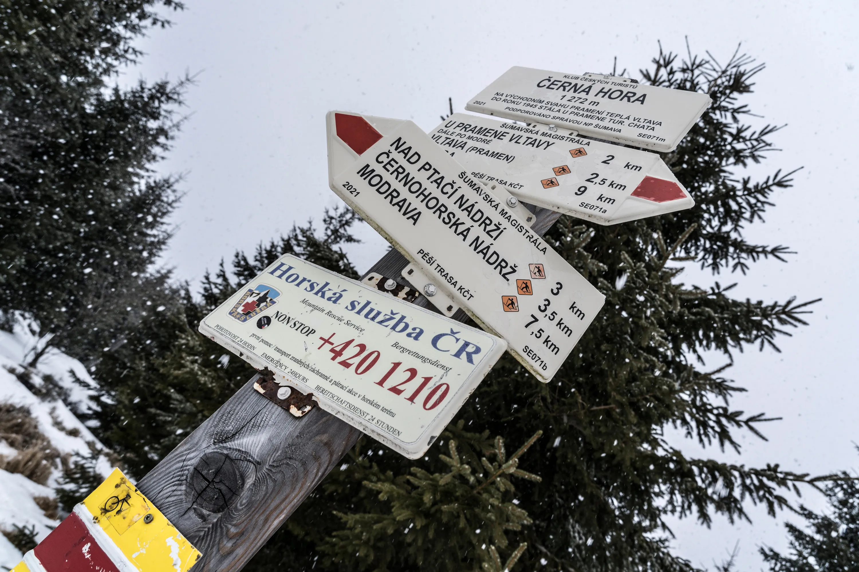 Bild 19
