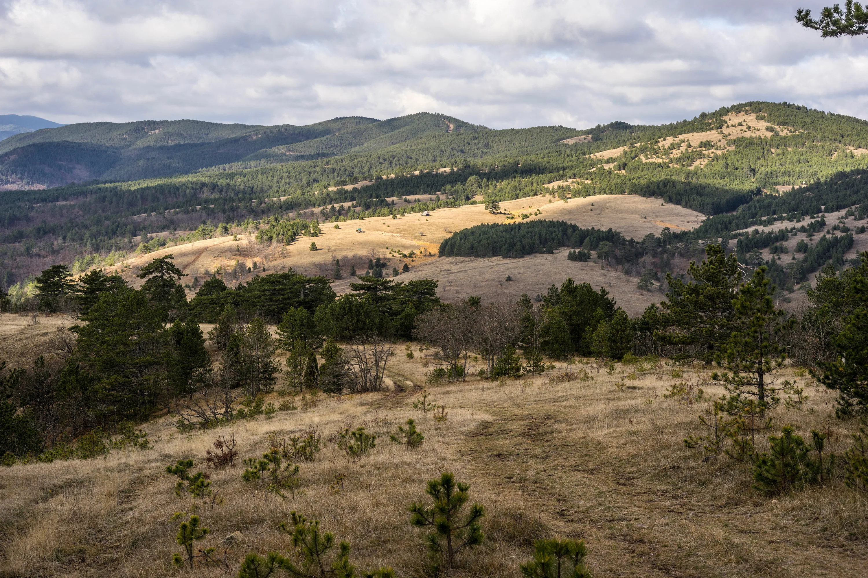 Bild 2