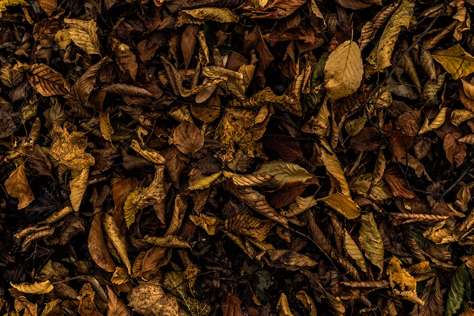 40