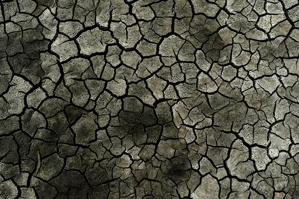 62
