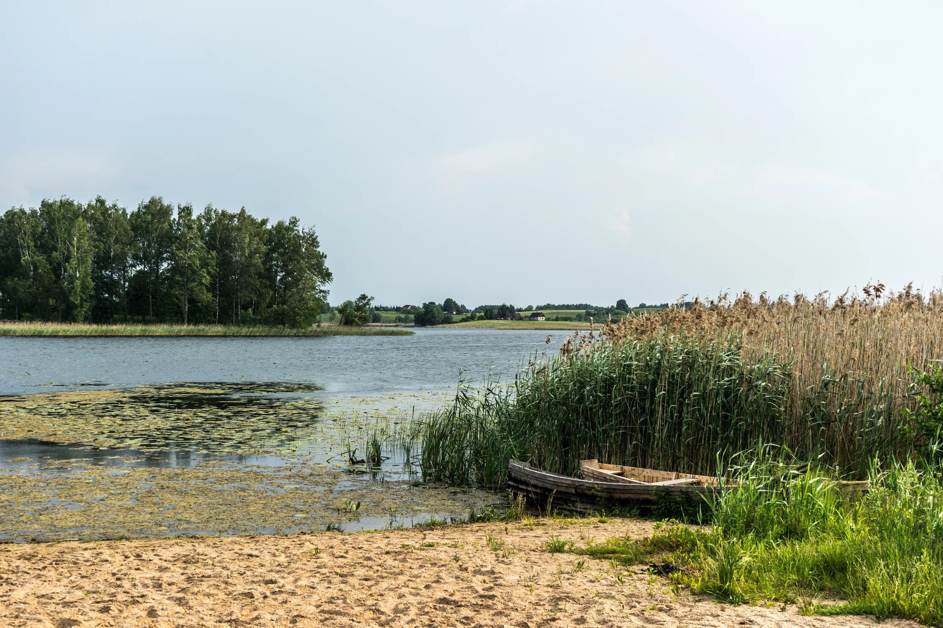 Bild 7