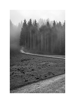 Ein Weg im Chiemgau im Nebel