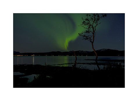 Polarlicht in Tromsø in Norwegen