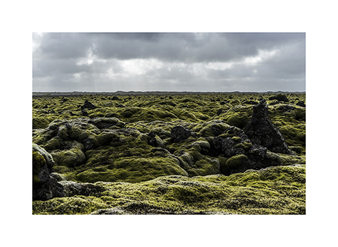 Das Lavafeld von Brunahraun in Island