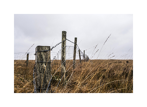 Ein Zaun in einem Moor im Wild Nephin Nationalpark in Irland