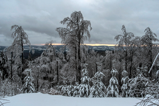Fotos-Bayerischer-Wald-Winter